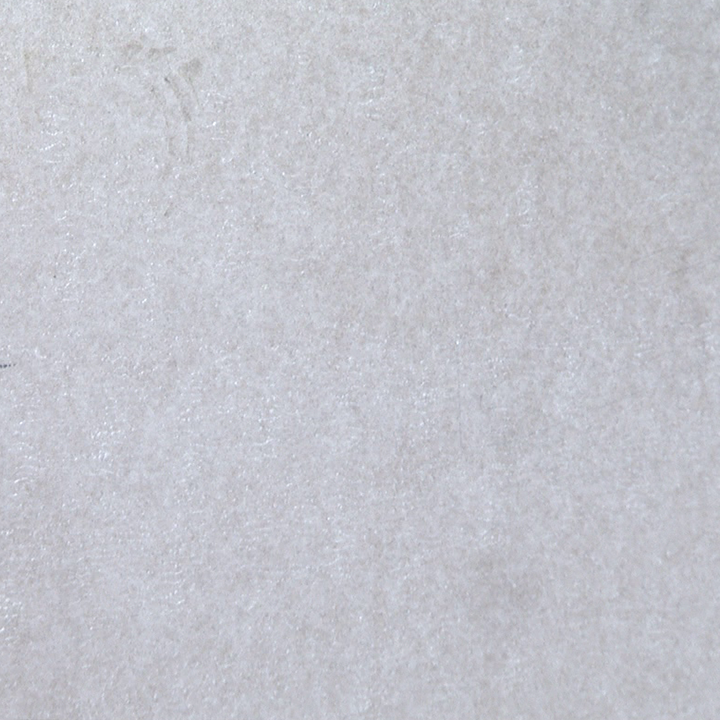 PRIMEL 100 Application Step 2