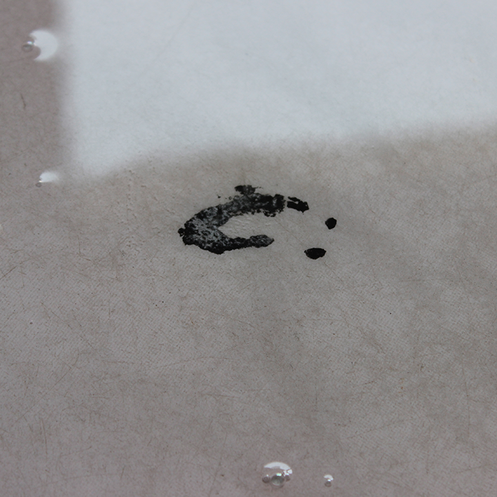 PRIMEL 300 Application Step 2