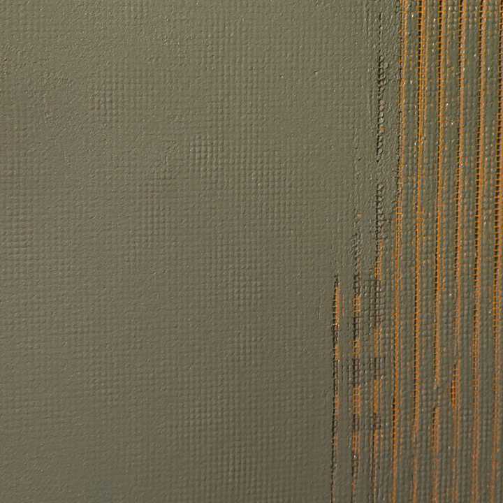 Reinforcement Plaster EYF Application Step 2