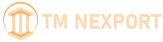 TM Nexport logo-light